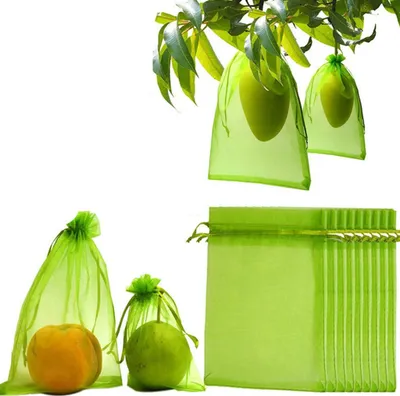 Image de 100 sacs de protection pour fruits, Sacs en filet pour fruits avec cordon de serrage, Couverture pour fruits de jardin, Sacs en filet pour protéger les plantes (20 x 30 cm)
