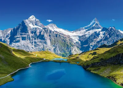 Image de Alipson Puzzle Bachalpsee, Alpes - 1000 pièces