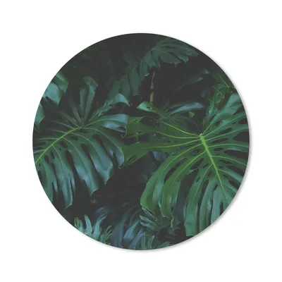 Produktbild von MuchoWow® Mauspad Mousepad Pflanzen - Dschungel - Blätter 30x30 cm - Mousepads - Maus Mat - Pad - Mausunterlage - Tischunterlage - Schreibtischmatten
