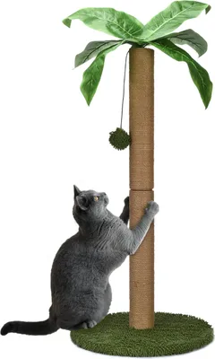 Produktbild von Katzenkratzbaum Pfotenolymp für Katzen – Stehender Kratzbaum, hoher Baum, Kratzmatte, Pfosten für Indoor-Aktivität, Spiel, intelligentes interaktives Möbelspielzeug für kleine Kätzchen im Innenbereich, Haustiere