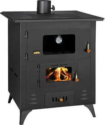 A black wood-burning stove with a glass door showing flames and a thermometer.