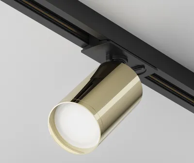 Image de Maytoni Focus lampe sur rail GU10 1 phase système UNITY orientable noir or