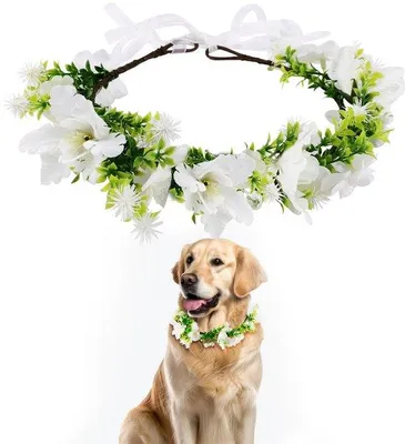 Produktbild von Hundefutterhalter - Handgefertigte Blumenkrone - Ideal für Hochzeiten