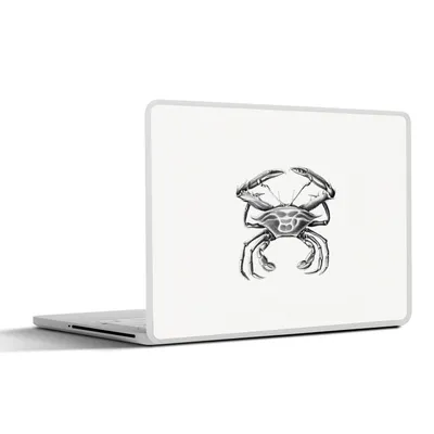 Produktbild von MuchoWow® Laptop Aufkleber Sticker Cover Ernst Haeckel - Jahrgang - Kunst - Krabbe 30x21 cm - Sticker für Laptop - Selbstklebend