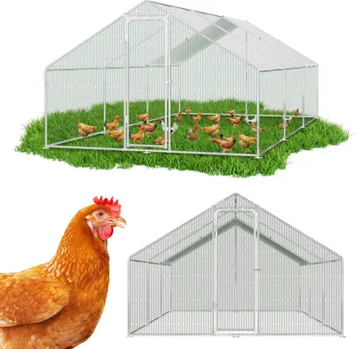 Immagine prodotto di Aopunly 3x6x2m pollaio all'aperto pollaio tetto casa pollame struttura in acciaio zincato con PE per i polli, case di pollame, piccoli animali