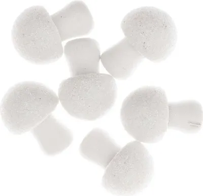 Immagine prodotto di 6 funghi in legno con glitter bianco