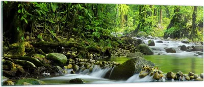Produktbild von Bilder auf glas - Stream Wald Natur - 140x50cm - Glasbilder - Wandbilder - Kunstdruck - zum Aufhängen bereit - Wanddekoration aus Glas - Glas Bilder - Wandbild auf Glas - Einteilig - GAB140x50-0174