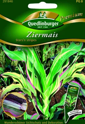 Produktbild von Ziermais Stars & Stripes | Gemüsesamen von Quedlinburger