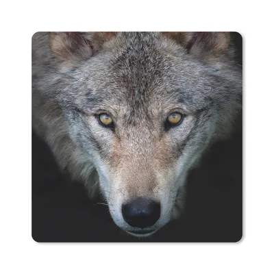 Produktbild von MuchoWow® Mauspad Mousepad Wolf - Porträt - Schwarz 20x20 cm - Mousepads - Maus Mat - Pad - Mausunterlage - Desk Mat - Bureauartikeln