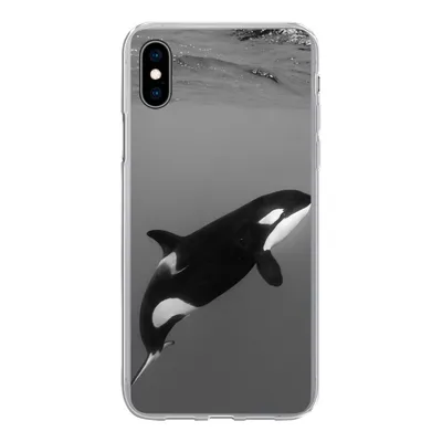 Produktbild von MuchoWow® Handyhülle Schutzhülle Hülle für iPhone Xs Orca - Wasser - Tiere Silikon Softcase Handy Hülle - Handytasche