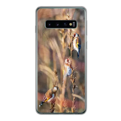 Produktbild von MuchoWow® Handyhülle Schutzhülle Hülle für Samsung Galaxy S10 Vögel - Äste - Wald Silikon Softcase Handy Hülle - Handytasche