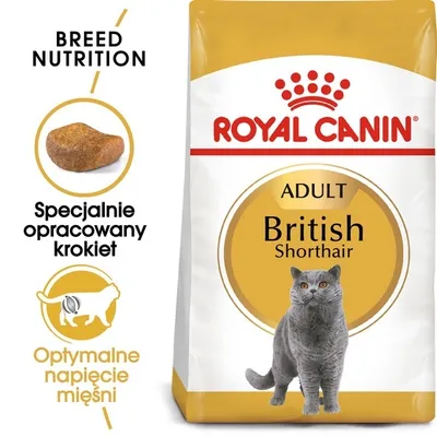 Zdjęcie produktu dla Royal Canin British Shorthair Adult karma sucha dla kotów dorosłych rasy brytyjski krótkowłosy 10kg