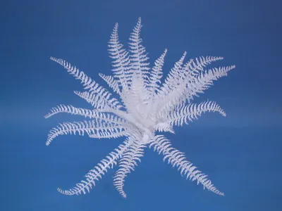Immagine prodotto di EUROPALMS felce decorativa per autocolorazione, artificiale, 60 cm (82719137)