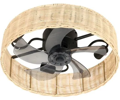 Image de Ventilateur de plafond - Alyzia 40 cm - Moteur à courant continu
