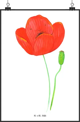 Produktbild von Mr. & Mrs. Panda Bild Blume Mohnblume DIN A0 - Weiß - Geschenk, Wandbild, Selbstliebe, Wanddeko, drucke, Religion, Garten, Motivation, Plakat, Mohn, Glaube