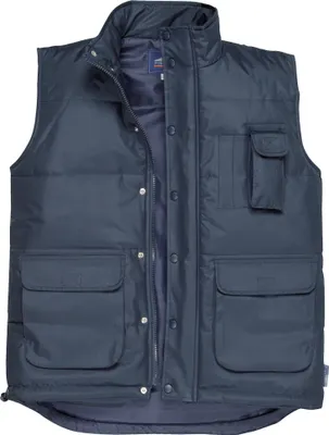 Image de Gilet de protection multifonction Portwest pour homme RW973 (Large) (Bleu marine)