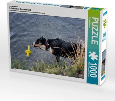 Produktbild von Calvendo Ein Motiv aus dem Kalender Entlebucher Sennenhund 1000 Teile Puzzle quer 640x480mm, CALVENDO; 7289918