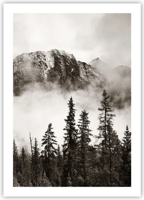 Produktbild von Poster - Poster ohne Rahmen - Nebel Berg Wald - 50x70 cm - Wand Bild - Wanddeko - Wandbilder - Kunstposter - Wandposter - Bilder - Kunstdruck - Wanddekoration - Wandbild - P2XPA50x70-4936