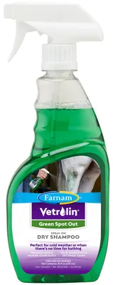 Trockenshampoo-Spray zur Fleckenentfernung, 473 ml