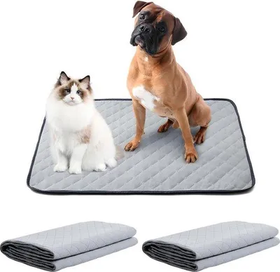 Produktbild von Famanu Hundematte wasserdicht - 2 Stück, 70 x 100 cm, waschbar, wiederverwendbare Trainingspads