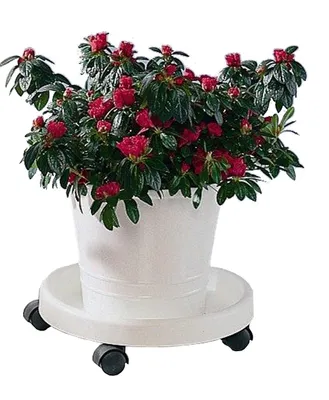 Produktbild von RUCO 2x Pflanzenroller weiß Kunststoff rund Ø 34 cm 2er Set stabil  Germany