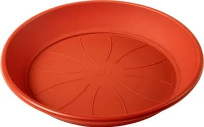 Zdjęcie produktu dla Miska Plastia Azalea - terakota 18 cm