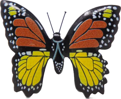 Produktbild von Magnet aus Holz - Schmetterling