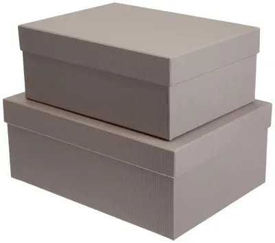 Imagen del producto de Juego de 2 cajas de almacenamiento color beige, fabricadas con cartón reciclado