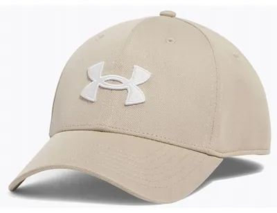 Produktbild von Under Armour Mützen CZAPKAUABLITZING1376700299LXLBE