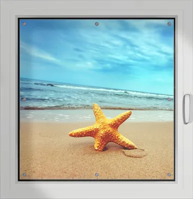 Produktbild von Wallario Lichtschutzbild, Dekorativer Sichtschutz Sonnenschutz 96 x 100 cm mit Motiv: Seestern am Strand am Meer - Verdunklung ohne Bohren