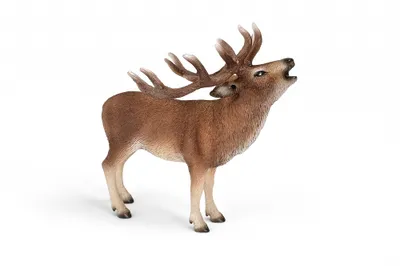 Image de Schleich 14647 Cerf rouge