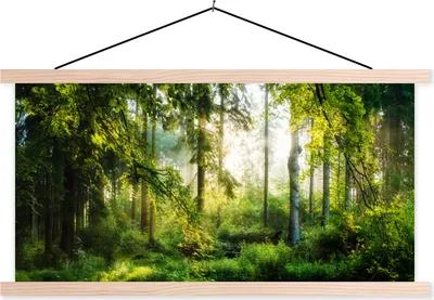 Produktbild von MuchoWow® Textilposter Wald - Sonne - Bäume 120x60 cm mit holzfarbenen Rahmen - Klemmleiste