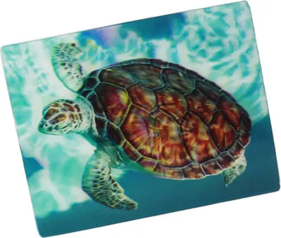 Produktbild von 3D Magnet Meeresschildkröte