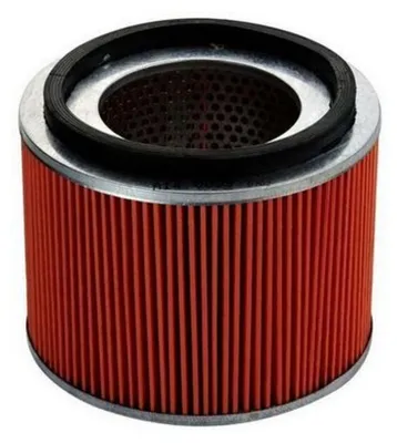 Immagine prodotto di EBG Filtro aria motore Nissan 16546VB300