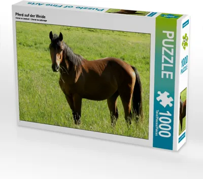 Produktbild von Calvendo Pferd auf der Weide 1000 Teile Puzzle quer 640x480mm, N N; 7450545