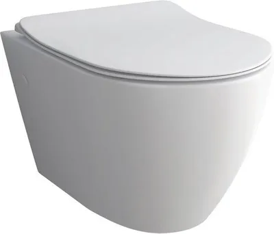 Produktbild von Wandtoilet ohne Spülrand - Hochwertiges Sanitärkeramik in Weiß mit Softclose WC-Sitz