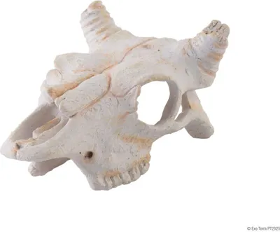 Zdjęcie produktu dla Exo Terra Dino B-phalo