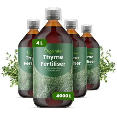 Obrázek produktu pro Tekuté Hnojivo pro Tymian 4x1 L – 2-1-8 NPK – Pro Tymian – Pro Dlhotrvajúci Růst, Kvalitu Byliniek & Robustnosť – Organifer