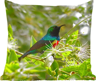 Produktbild von MuchoWow® Zierkissen Sofakissen Wohnzimmer Dekokissen 40x40 cm Vogel zwischen den Blättern im Dschungel - Foto Kissen - Schlafzimmer Dekoration