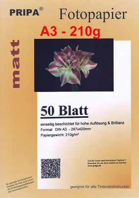 Produktbild von pripa 50 Blatt A3 210g/m² einseitig Matt