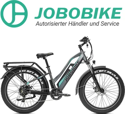 Produktbild von JOBOBIKE E-Bike Elektrofahrrad E-Mountainbike Robin, 26 Zoll Fat-Reifen Elektrobike, LG Akku 250w Heckmotor Gang SHIMANO Schaltwerk, Kettenschal