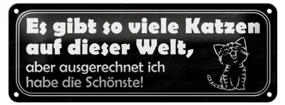 Produktbild von Blechschild Spruch 27x10cm es gibt so viele Katzen auf Welt Dekoration