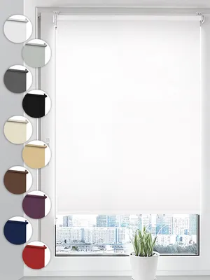 A white roller blind is shown in a window, with a cityscape visible outside. A small potted plant sits on the windowsill.