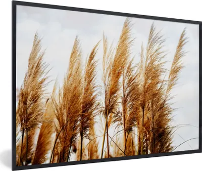 Produktbild von MuchoWow® Gerahmtes Poster Pampasgras - Sonne - Gras 90x60 cm - Poster mit Schwarzem Bilderrahmen Wandposter Rahmen Foto Bilder - Fotorahmen - Foto-Plakat