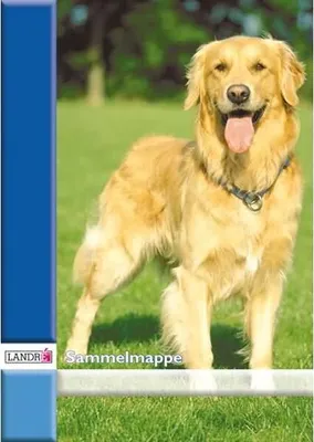 Produktbild von Landré Sammelmappe A3 mit Band - f.sort