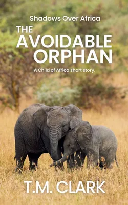 Produktbild von The Avoidable Orphan