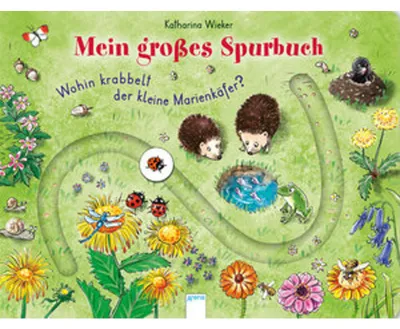 Produktbild von Wohin krabbelt der kleine Marienkäfer?