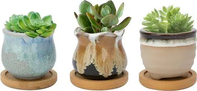 Immagine prodotto di Mini vasi da fiori in Vetroceramica da 6,5 cm con fori di drenaggio e bambù