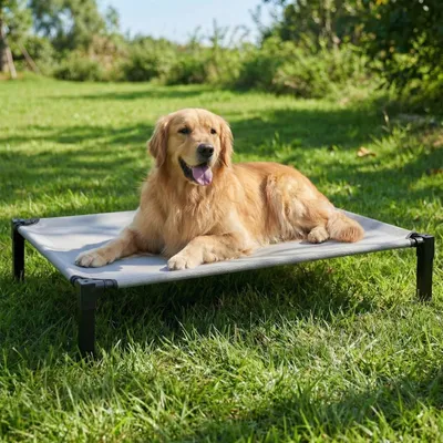Produktbild von Elzusha – Erhöhtes Hundebett XL, 130x92x24 cm – Robust und rutschfest
