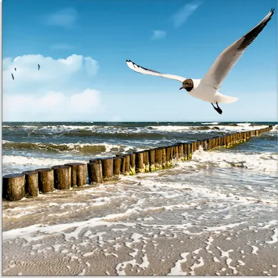Produktbild von ARTland Glasbild Ostsee Größe: 30x30 cm